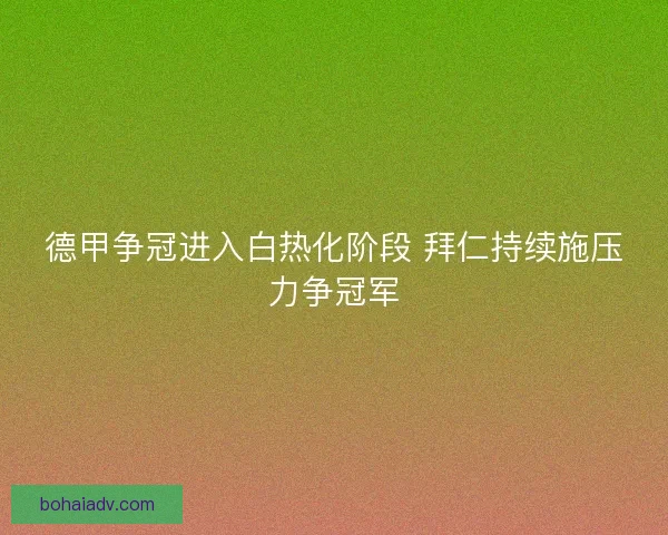 德甲争冠进入白热化阶段 拜仁持续施压力争冠军